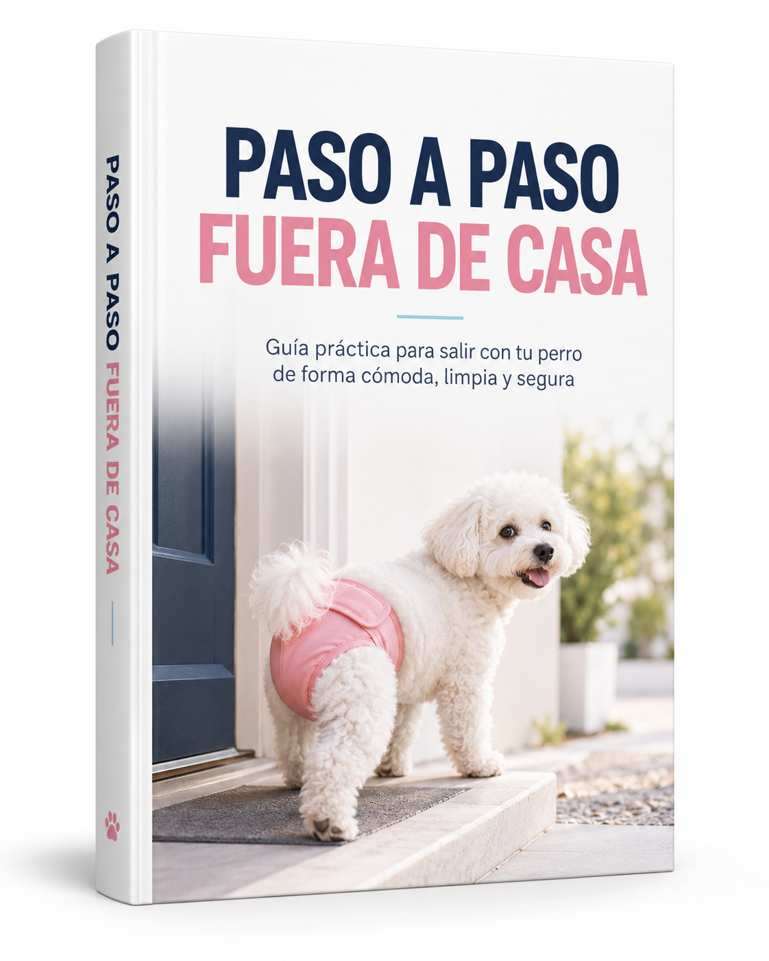 Paso a Paso fuera de Casa
